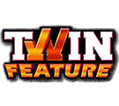 Twin_Feature
